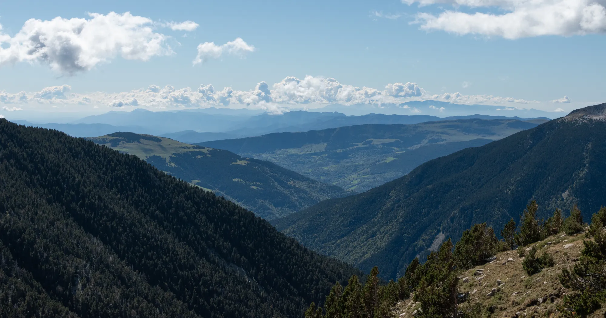 image 0 of Vallter 2000